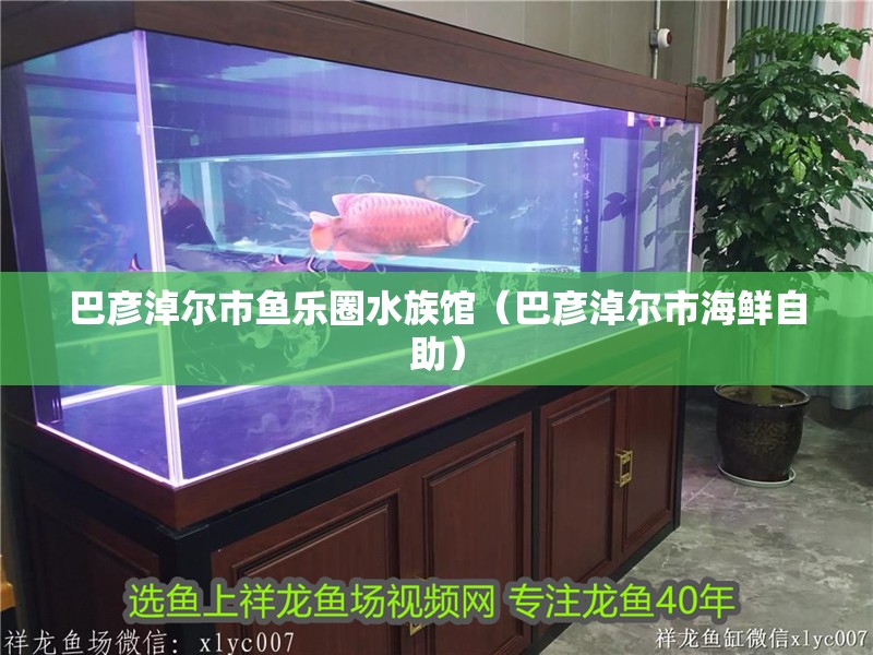 巴彥淖爾市魚樂圈水族館（巴彥淖爾市海鮮自助）