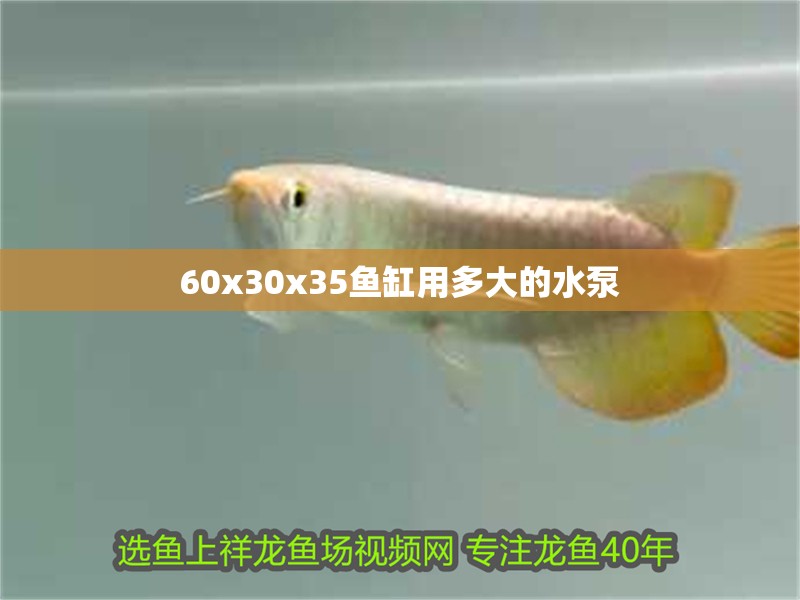 60x30x35魚缸用多大的水泵