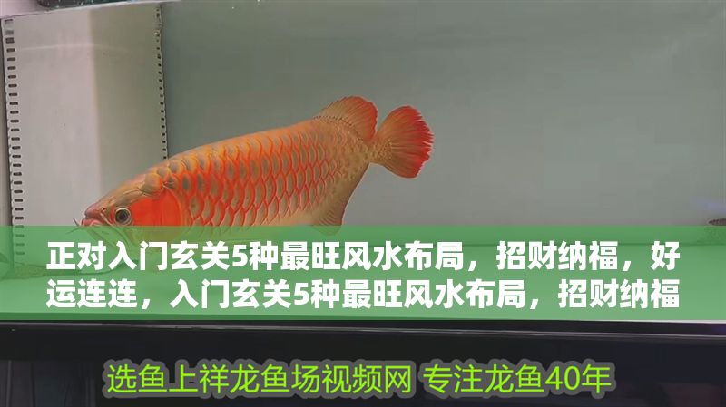 正對(duì)入門玄關(guān)5種最旺風(fēng)水布局，招財(cái)納福，好運(yùn)連連，入門玄關(guān)5種最旺風(fēng)水布局，招財(cái)納福好運(yùn)連連