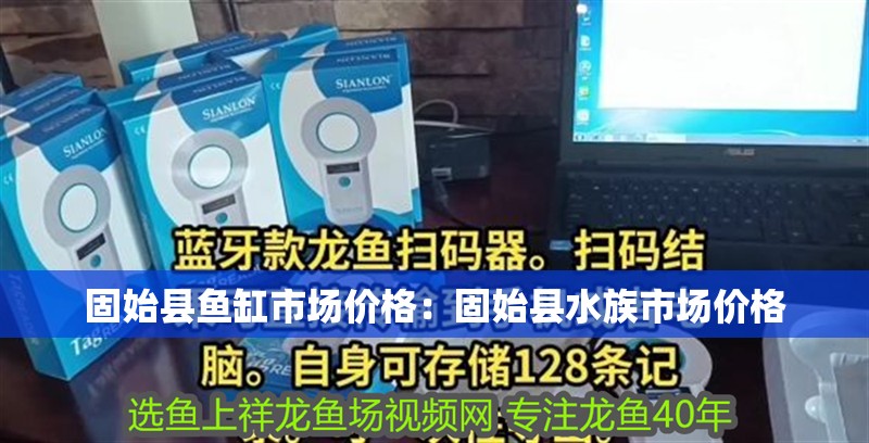 固始縣魚(yú)缸市場(chǎng)價(jià)格：固始縣水族市場(chǎng)價(jià)格