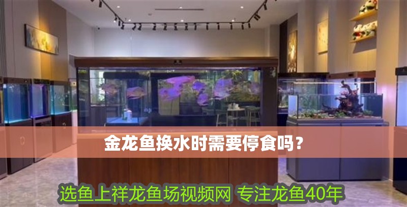 金龍魚換水時需要停食嗎?