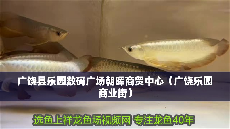 廣饒縣樂園數(shù)碼廣場(chǎng)朝暉商貿(mào)中心（廣饒樂園商業(yè)街）