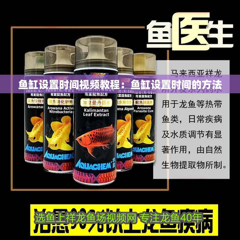 魚缸設置時間視頻教程：魚缸設置時間的方法