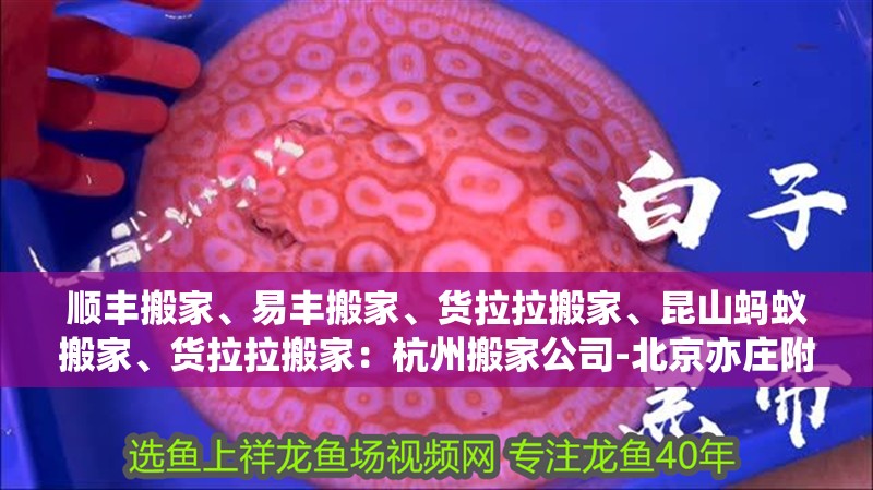 順豐搬家、易豐搬家、貨拉拉搬家、昆山螞蟻搬家、貨拉拉搬家：杭州搬家公司-北京亦莊附近搬家公司-北京兄弟緣搬家公司