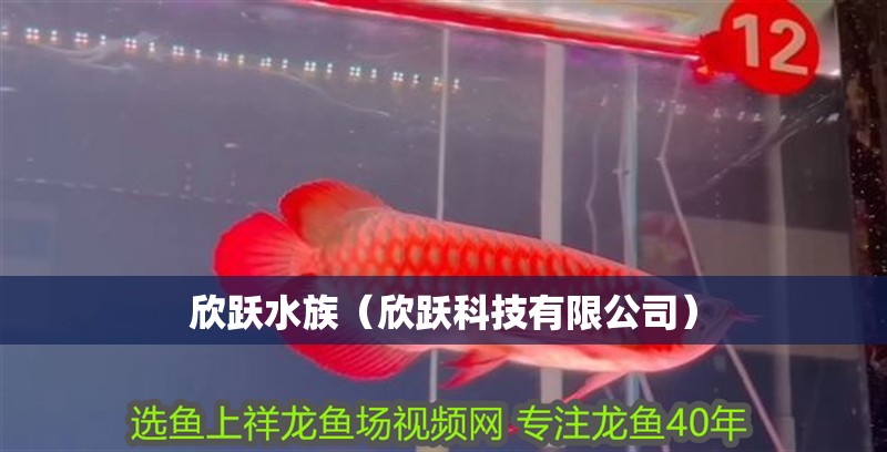 欣躍水族（欣躍科技有限公司） 欣躍水族（欣躍科技有限公司） 全國水族館企業名錄