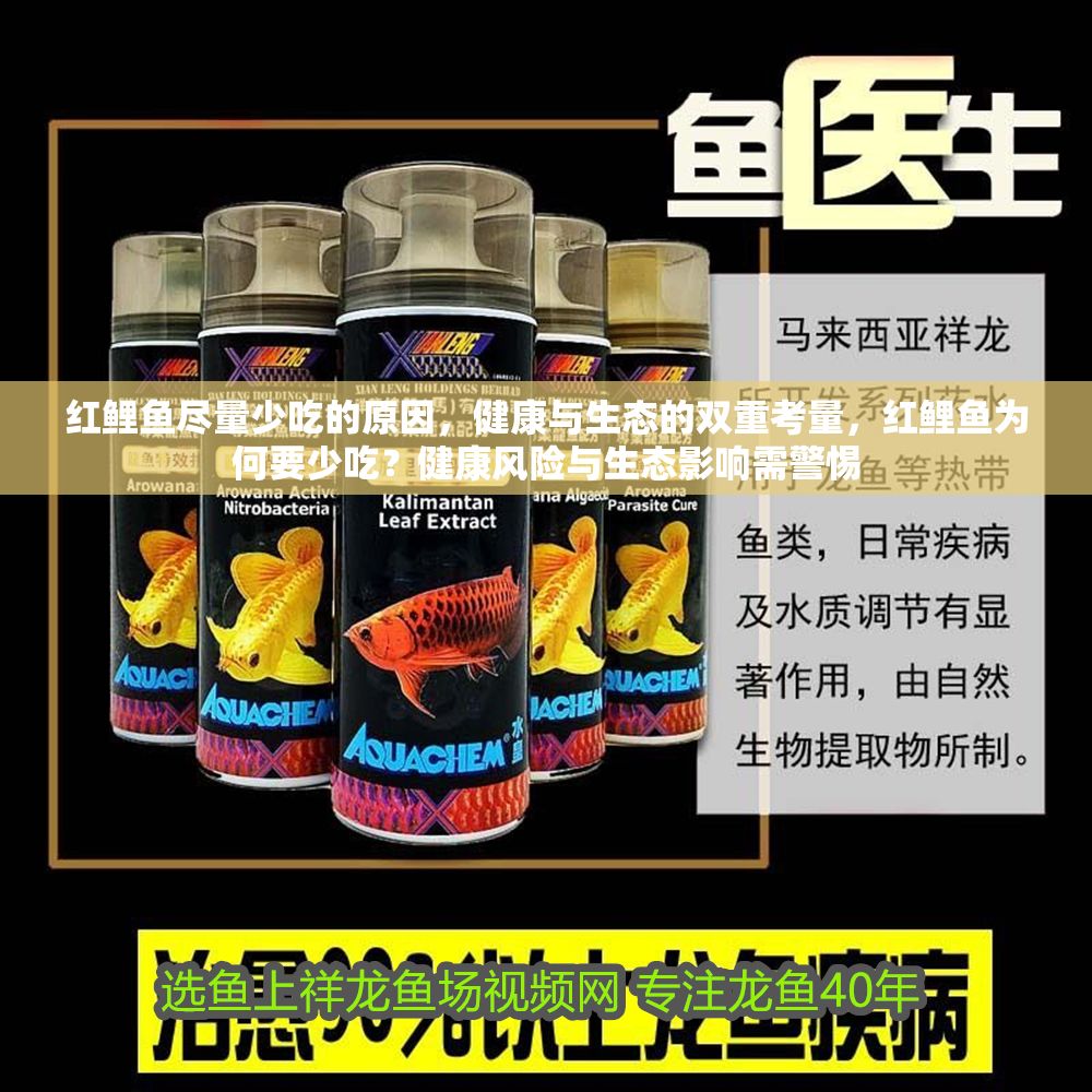 紅鯉魚盡量少吃的原因，健康與生態的雙重考量，紅鯉魚為何要少吃？健康風險與生態影響需警惕 紅鯉魚盡量少吃的原因，健康與生態的雙重考量，紅鯉魚為何要少吃？健康風險與生態影響需警惕 龍魚百科 第1張