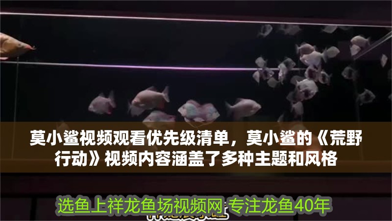 莫小鯊視頻觀看優先級清單，莫小鯊的《荒野行動》視頻內容涵蓋了多種主題和風格