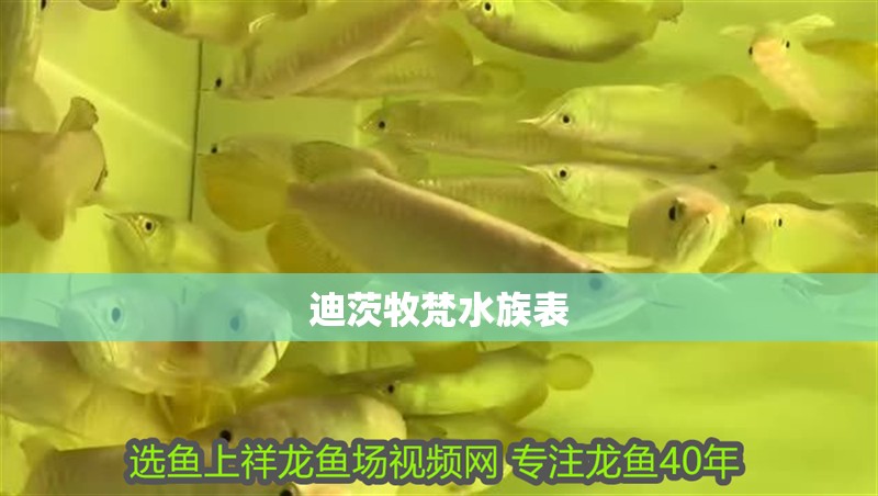 迪茨牧梵水族表