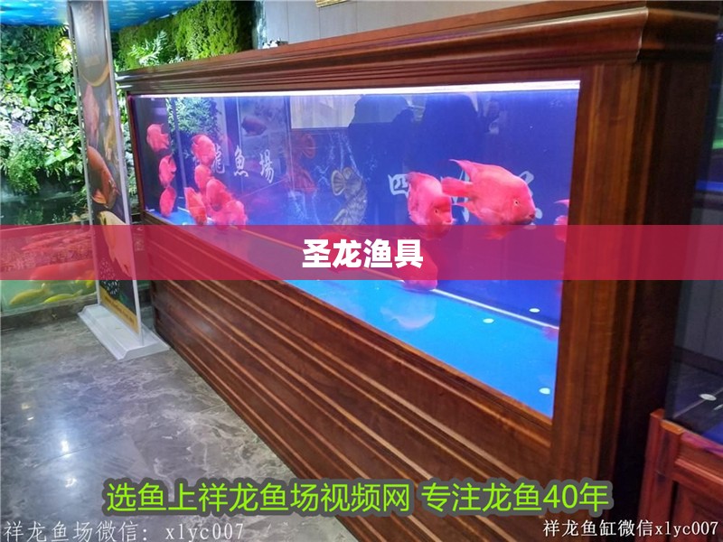 圣龍漁具