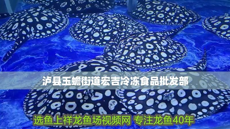 瀘縣玉蟾街道宏吉冷凍食品批發部 瀘縣玉蟾街道宏吉冷凍食品批發部 全國水族館企業名錄