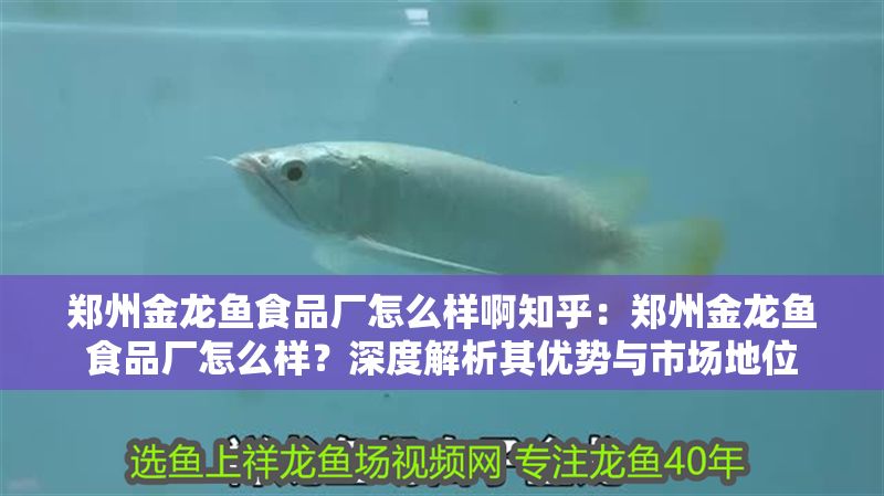 鄭州金龍魚食品廠怎么樣啊知乎：鄭州金龍魚食品廠怎么樣？深度解析其優勢與市場地位