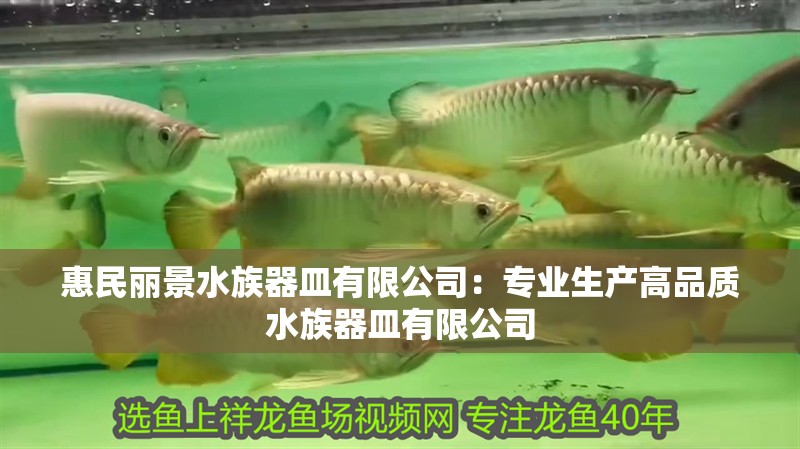 惠民麗景水族器皿有限公司：專業生產高品質水族器皿有限公司 惠民麗景水族器皿有限公司：專業生產高品質水族器皿有限公司 全國水族館企業名錄