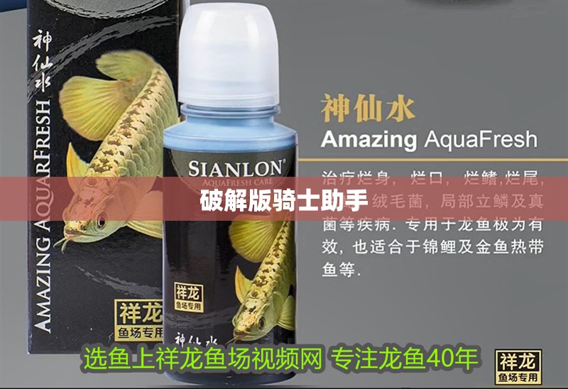 破解版騎士助手