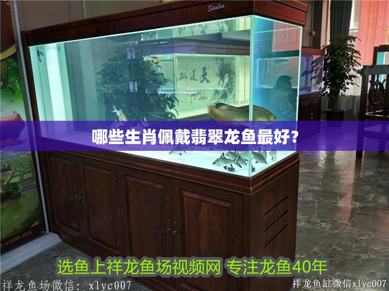 哪些生肖佩戴翡翠龍魚最好？