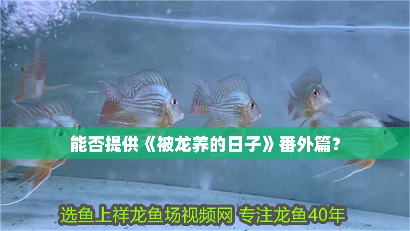 能否提供《被龍養(yǎng)的日子》番外篇？