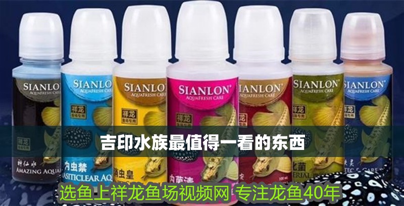 吉印水族最值得一看的東西