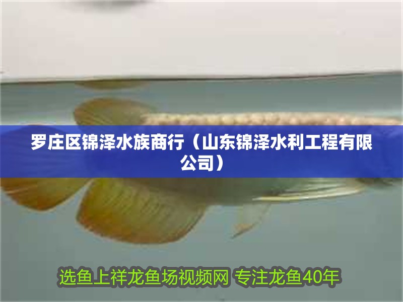 羅莊區錦澤水族商行（山東錦澤水利工程有限公司）