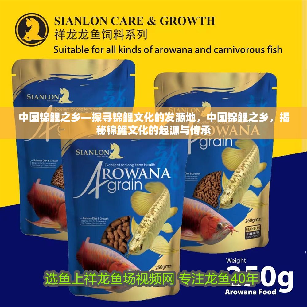 中國錦鯉之鄉—探尋錦鯉文化的發源地，中國錦鯉之鄉，揭秘錦鯉文化的起源與傳承