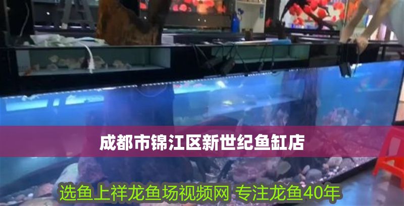成都市錦江區新世紀魚缸店