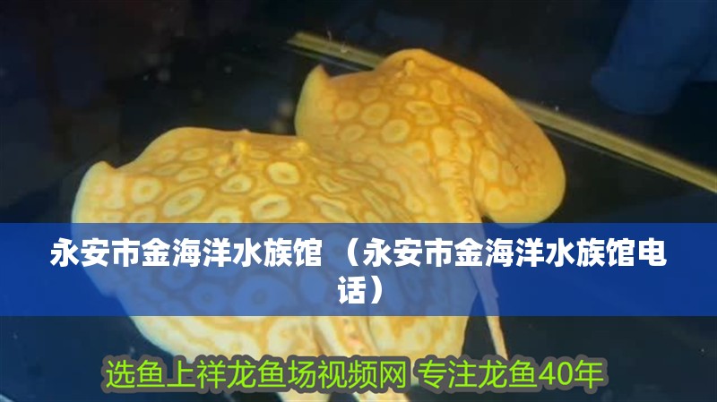 永安市金海洋水族館 （永安市金海洋水族館電話） 永安市金海洋水族館 （永安市金海洋水族館電話） 全國水族館企業(yè)名錄