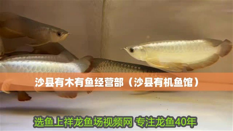 沙縣有木有魚經營部（沙縣有機魚館）