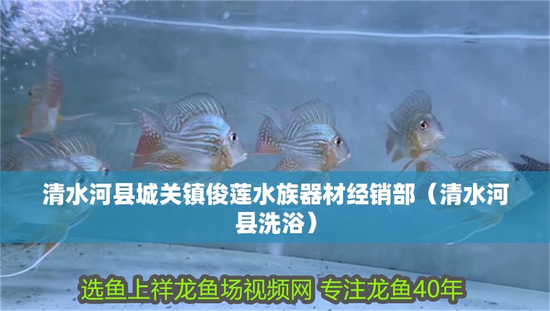 清水河縣城關鎮俊蓮水族器材經銷部（清水河縣洗浴）