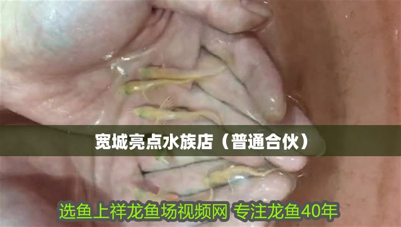 寬城亮點(diǎn)水族店（普通合伙） 寬城亮點(diǎn)水族店（普通合伙） 全國(guó)水族館企業(yè)名錄 第1張