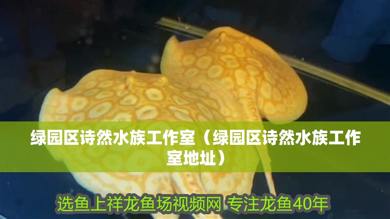 綠園區詩然水族工作室（綠園區詩然水族工作室地址）