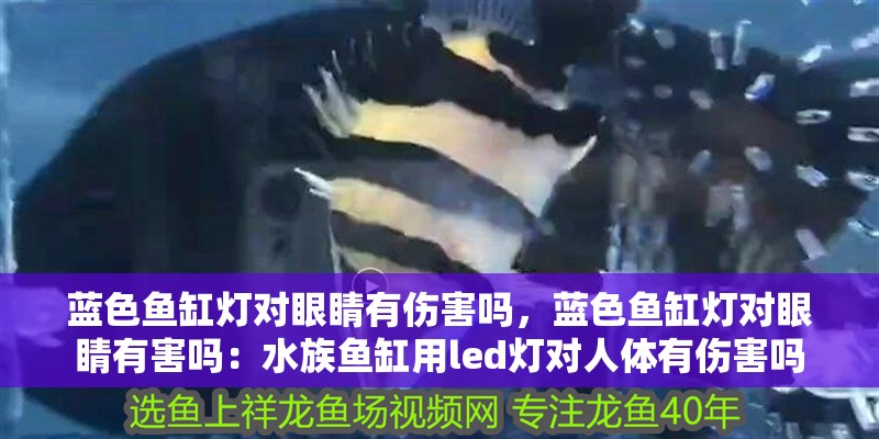 藍色魚缸燈對眼睛有傷害嗎，藍色魚缸燈對眼睛有害嗎：水族魚缸用led燈對人體有傷害嗎 藍色魚缸燈對眼睛有傷害嗎，藍色魚缸燈對眼睛有害嗎：水族魚缸用led燈對人體有傷害嗎 魚缸百科
