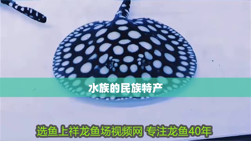 水族的民族特產(chǎn)
