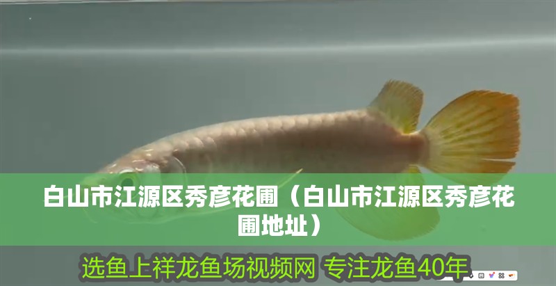 白山市江源區(qū)秀彥花圃（白山市江源區(qū)秀彥花圃地址）