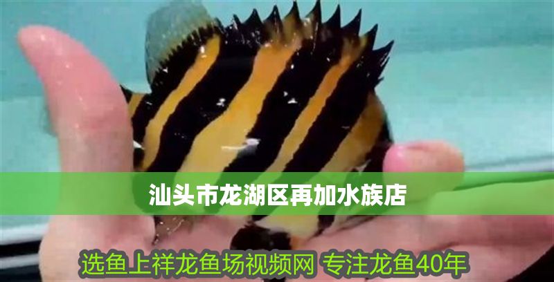 汕頭市龍湖區再加水族店