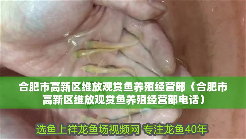 合肥市高新區維放觀賞魚養殖經營部（合肥市高新區維放觀賞魚養殖經營部電話）