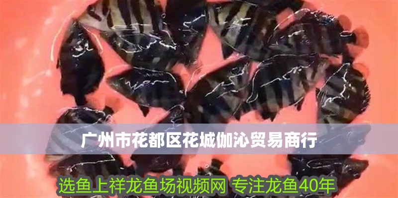 廣州市花都區(qū)花城伽沁貿(mào)易商行
