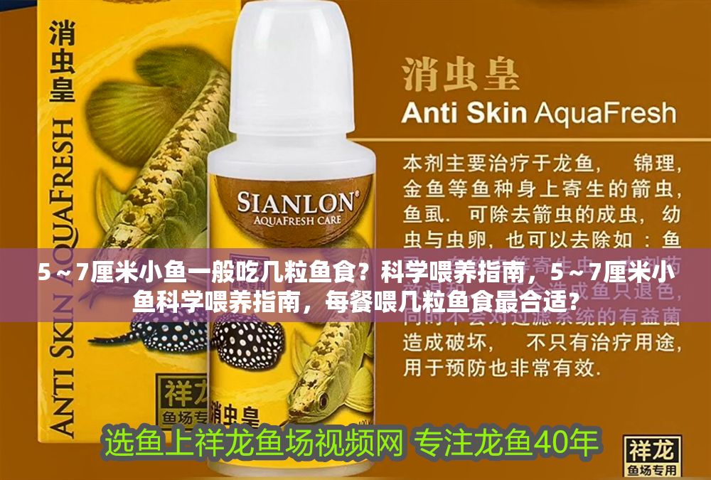 5～7厘米小魚(yú)一般吃幾粒魚(yú)食？科學(xué)喂養(yǎng)指南，5～7厘米小魚(yú)科學(xué)喂養(yǎng)指南，每餐喂幾粒魚(yú)食最合適？