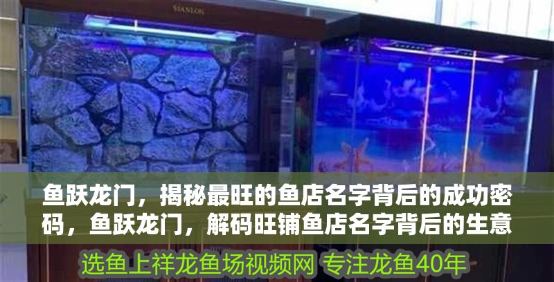 魚躍龍門，揭秘最旺的魚店名字背后的成功密碼，魚躍龍門，解碼旺鋪魚店名字背后的生意經