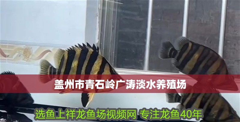 蓋州市青石嶺廣濤淡水養(yǎng)殖場
