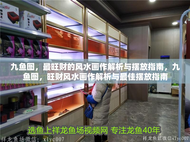 九魚圖，最旺財的風水畫作解析與擺放指南，九魚圖，旺財風水畫作解析與最佳擺放指南 九魚圖，最旺財的風水畫作解析與擺放指南，九魚圖，旺財風水畫作解析與最佳擺放指南 龍魚百科 第1張