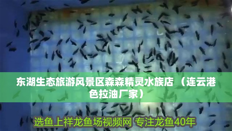 東湖生態(tài)旅游風(fēng)景區(qū)森森精靈水族店 （連云港色拉油廠家）