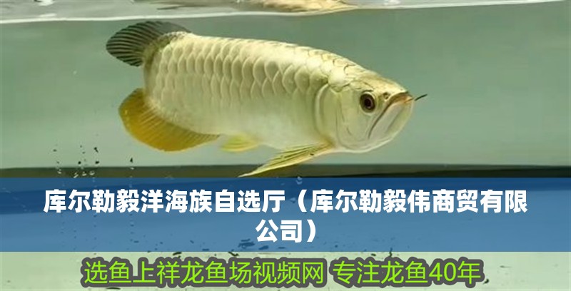 庫爾勒毅洋海族自選廳（庫爾勒毅偉商貿有限公司）