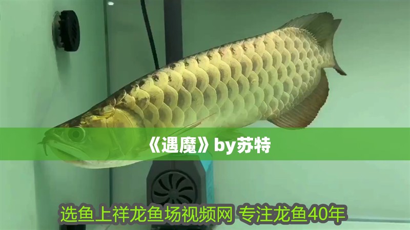 《遇魔》by蘇特