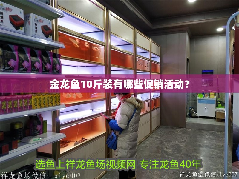 金龍魚10斤裝有哪些促銷活動？