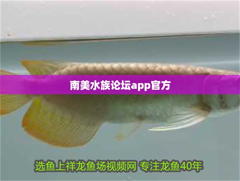 南美水族論壇app官方