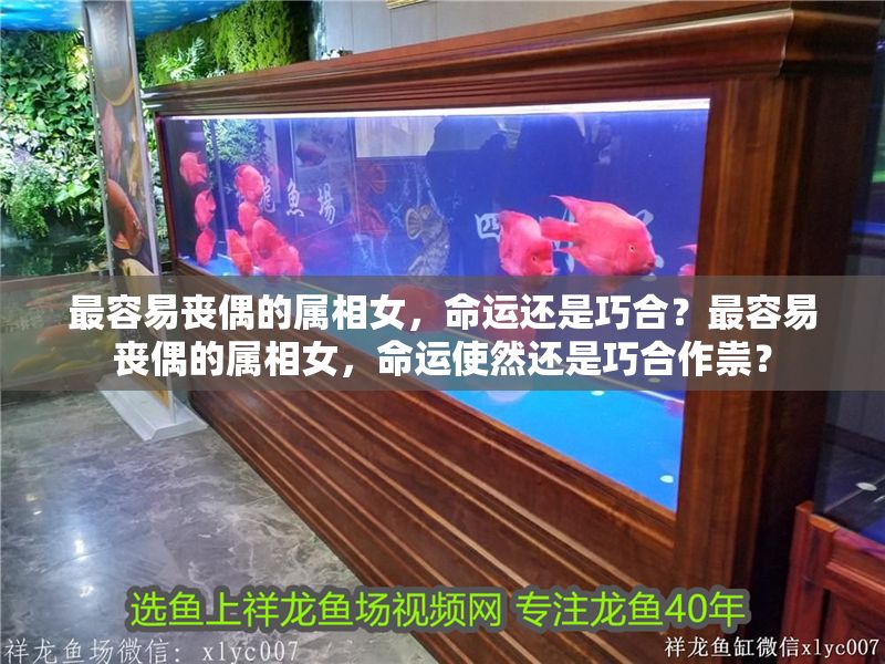 最容易喪偶的屬相女，命運還是巧合？最容易喪偶的屬相女，命運使然還是巧合作祟？