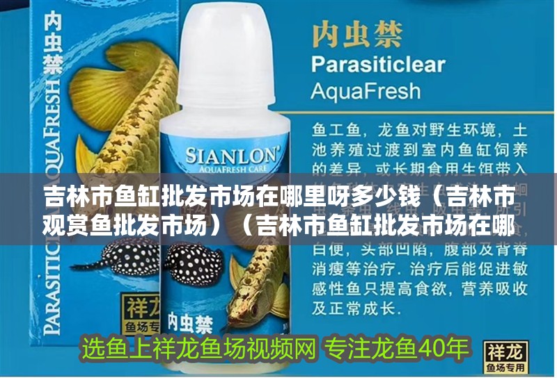 吉林市魚缸批發市場在哪里呀多少錢（吉林市觀賞魚批發市場）（吉林市魚缸批發市場在哪里）