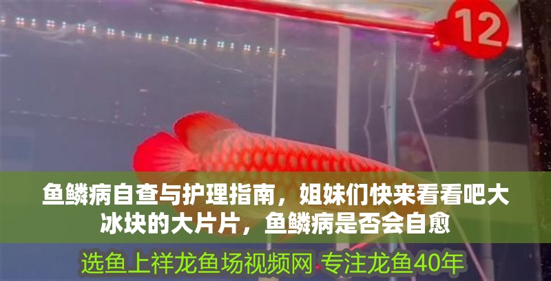 魚鱗病自查與護理指南，姐妹們快來看看吧大冰塊的大片片，魚鱗病是否會自愈