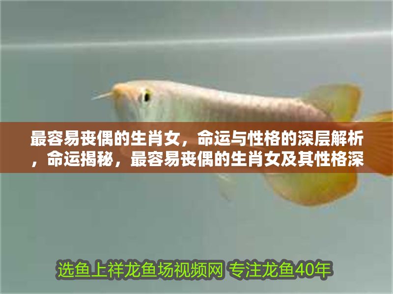 最容易喪偶的生肖女，命運與性格的深層解析，命運揭秘，最容易喪偶的生肖女及其性格深層解析