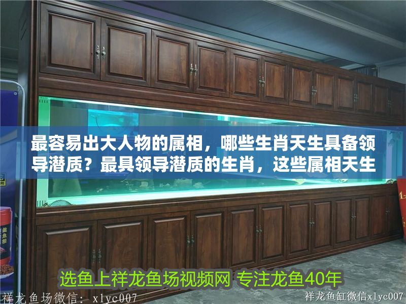 最容易出大人物的屬相，哪些生肖天生具備領導潛質？最具領導潛質的生肖，這些屬相天生易出大人物