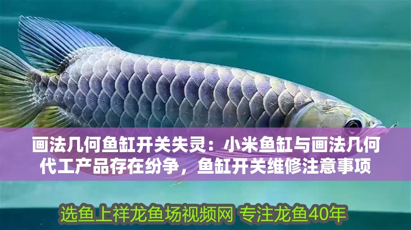 畫法幾何魚缸開關失靈：小米魚缸與畫法幾何代工產品存在紛爭，魚缸開關維修注意事項
