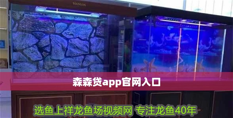 森森貸app官網入口
